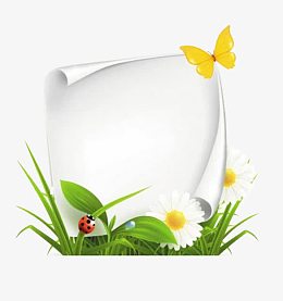 绿色卷起的书页