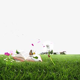 翻开的书页草地希望