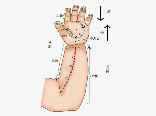 小儿推拿手臂穴位图