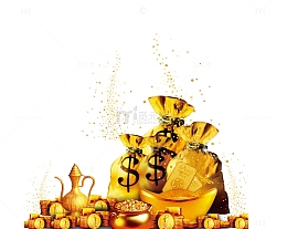 金色钱袋中大量金币
