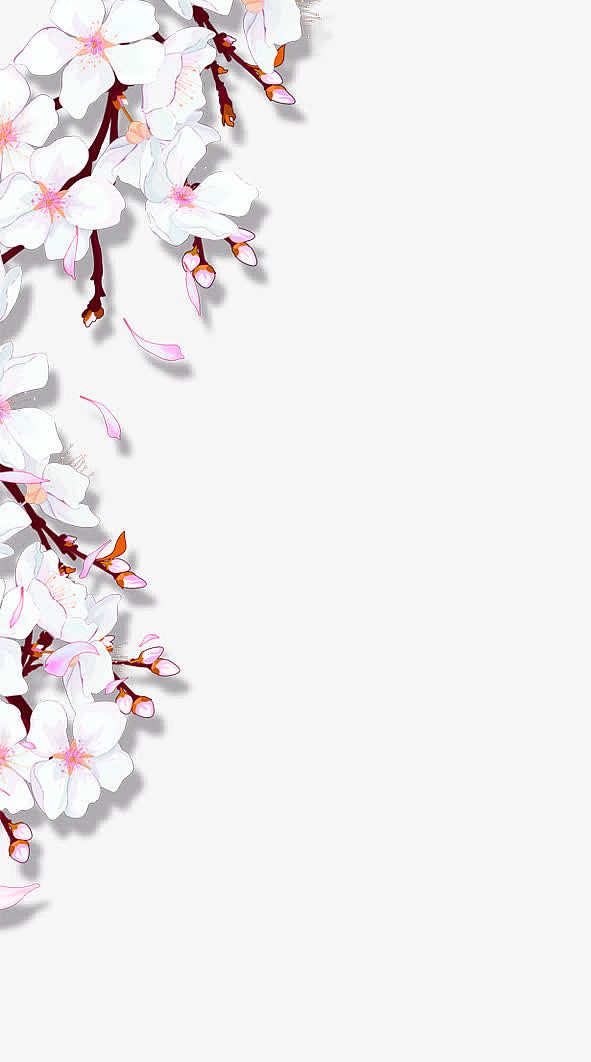 白色桃花装饰边框