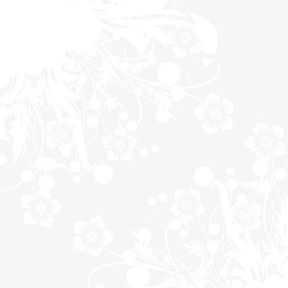 白色透明花边纹理