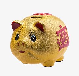 金猪储钱罐