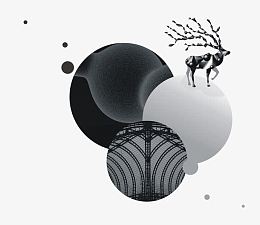 卡通手绘黑白驯鹿