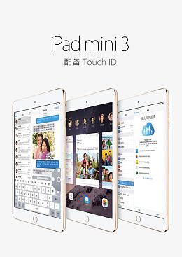 ipadmini