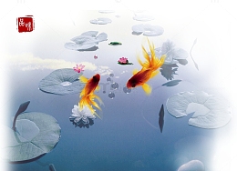 中国风荷塘锦鲤素材