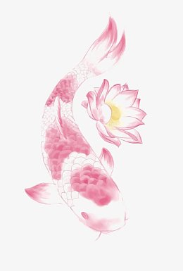 矢量粉色锦鲤