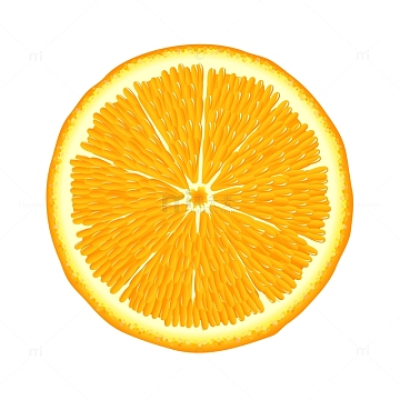 橙子矢量图