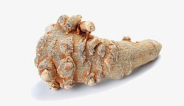 中药药材不硫熏