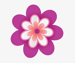 规则六角形紫红色小花