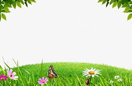 鲜花蝴蝶地平面