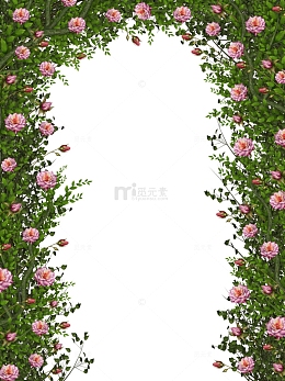 绿色藤蔓门
