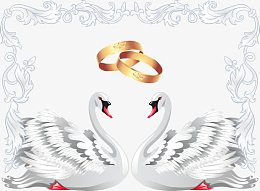 天鹅婚戒婚礼元素