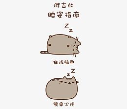 超人气胖吉猫