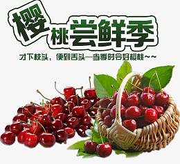 樱桃尝鲜季