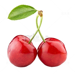 樱桃