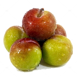 新鲜脆李