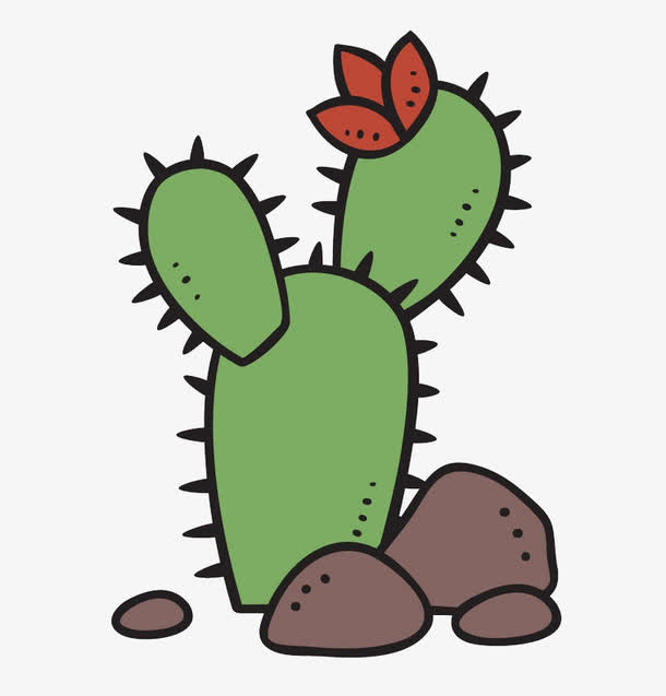 多肉植物仙人掌