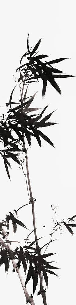 水墨竹子