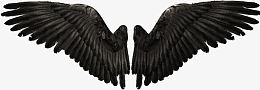 恶魔翅膀