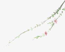 粉色淡雅手绘花朵花藤夏日