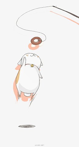 猫咪逗猫