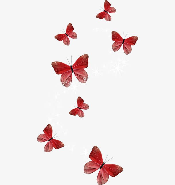 红色飞舞的蝴蝶
