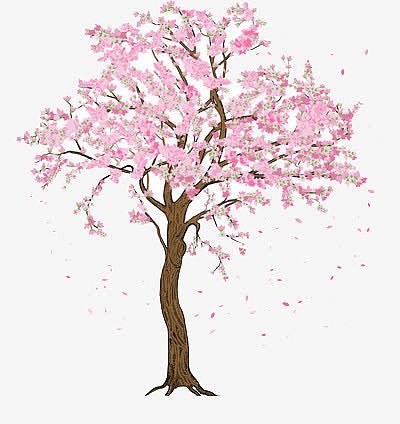 一颗卡通樱花树