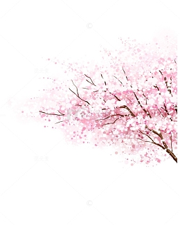 清新唯美粉色樱花树