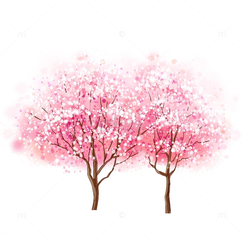 樱花树 幸福树