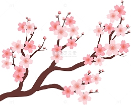美丽的樱花树
