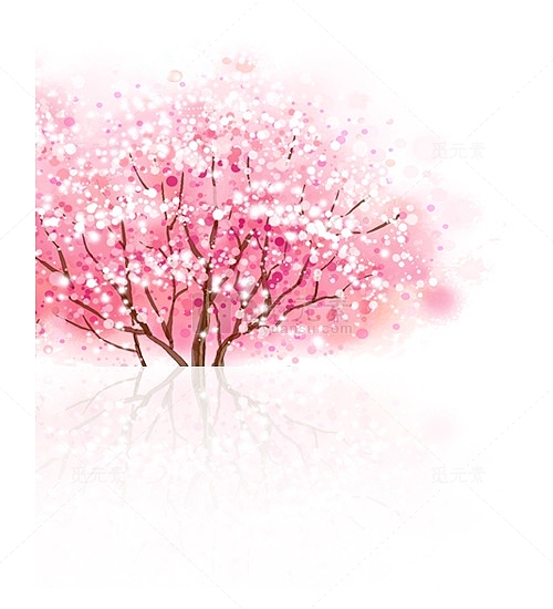 清新唯美樱花树