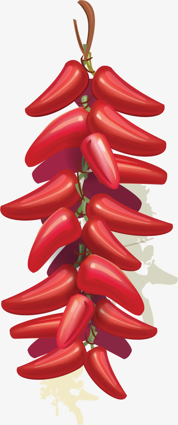 矢量手绘红辣椒