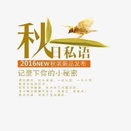 秋装新品发布