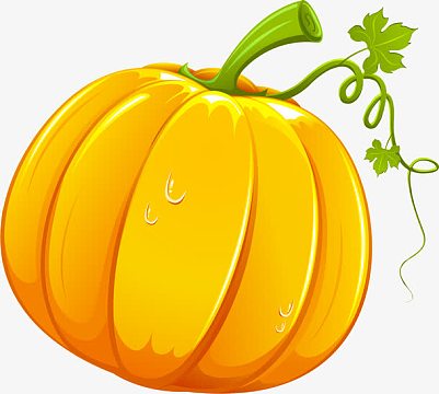 黄色大南瓜