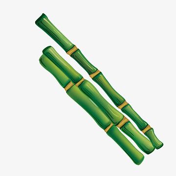 绿色甘蔗素材_绿色甘蔗图片元素-觅元素