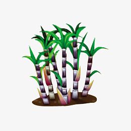 植物图案