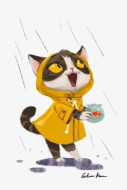 猫咪