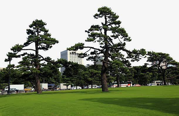 东京皇宫外苑