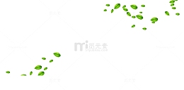 树叶