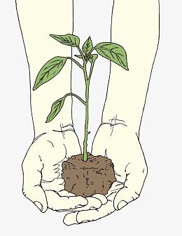 手捧绿植手捧绿树