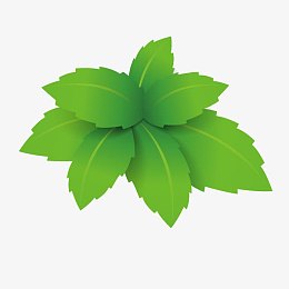 绿色小草