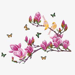 绽放的玉兰花