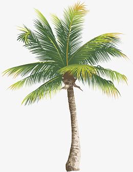 棕树植物绿色效果卡通