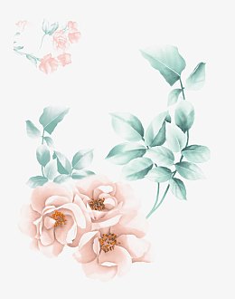 粉色花朵