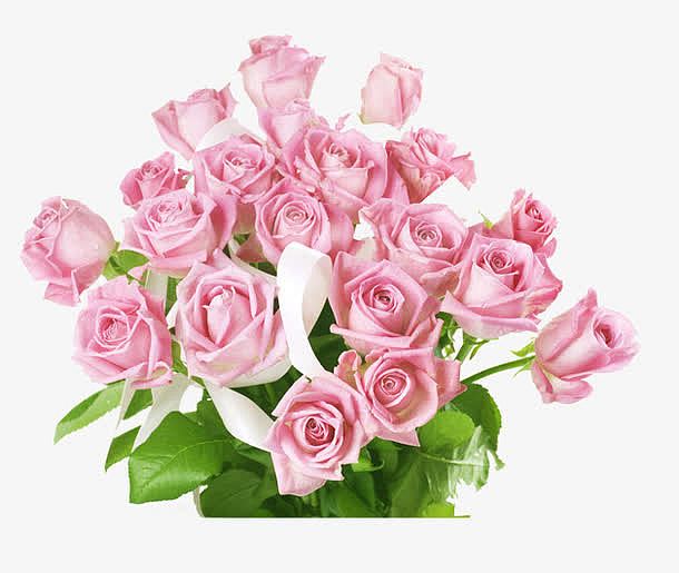 粉色玫瑰花朵