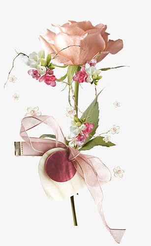 一枝淡粉色玫瑰花