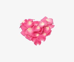 粉色玫瑰花瓣爱心