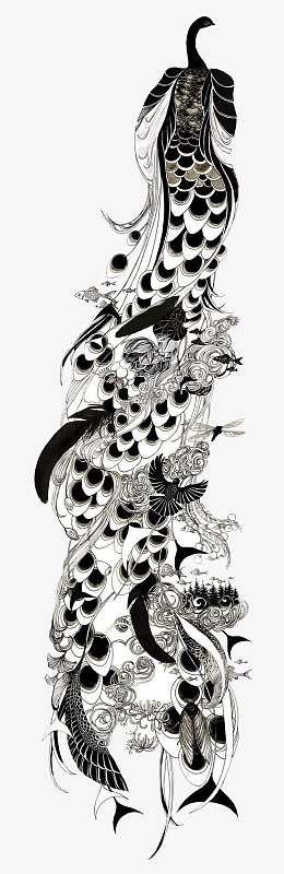 黑白孔雀羽毛战士