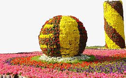 花圃花坛园艺